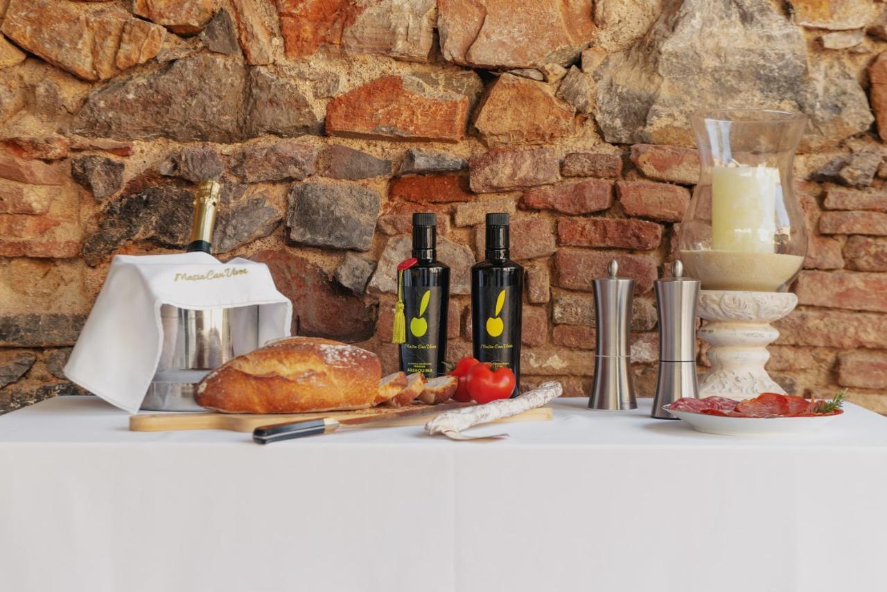 Masia Can Viver - Olive Oil Tourism B&B Бигес-и-Риельс Экстерьер фото