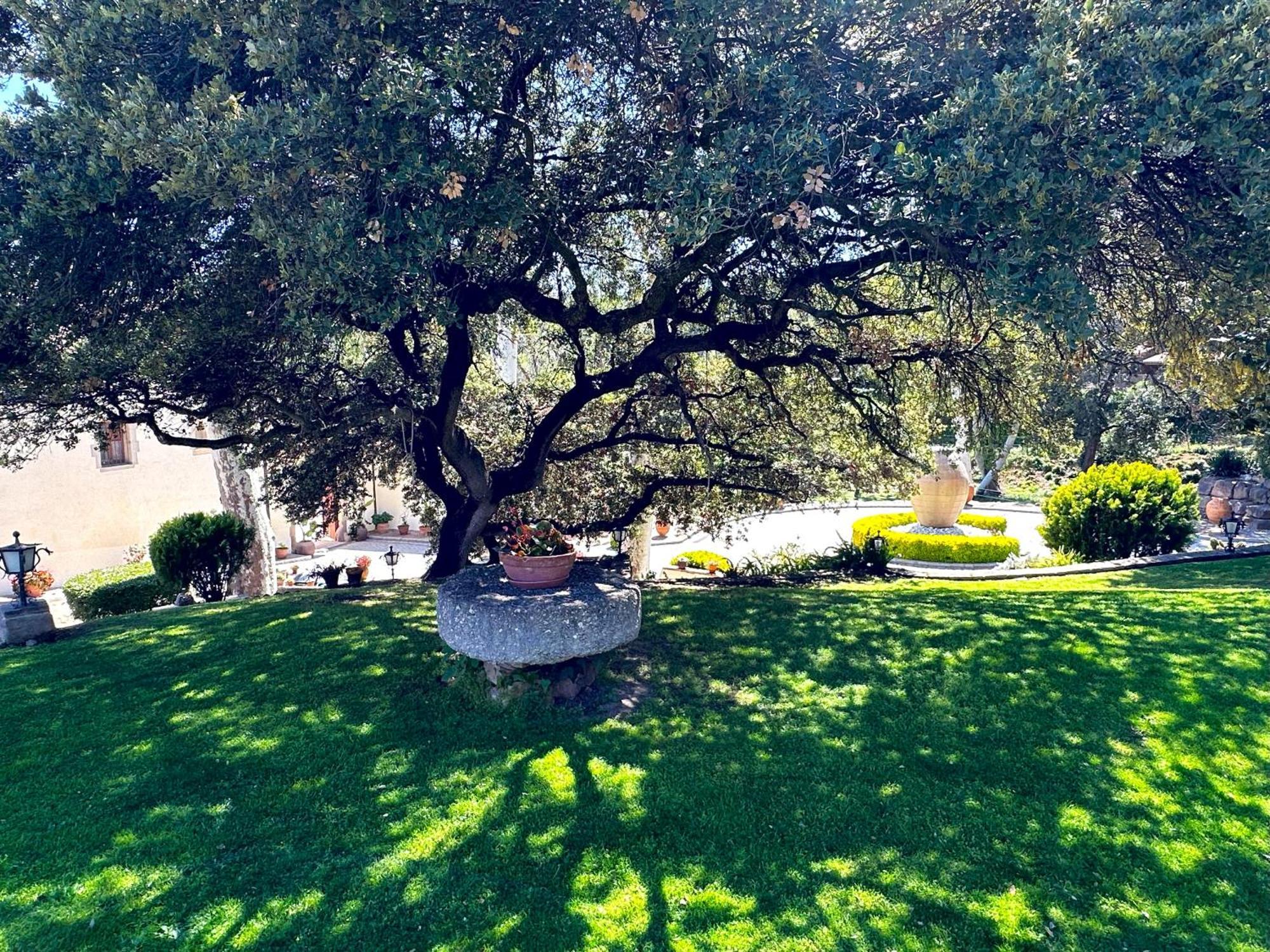 Masia Can Viver - Olive Oil Tourism B&B Бигес-и-Риельс Экстерьер фото