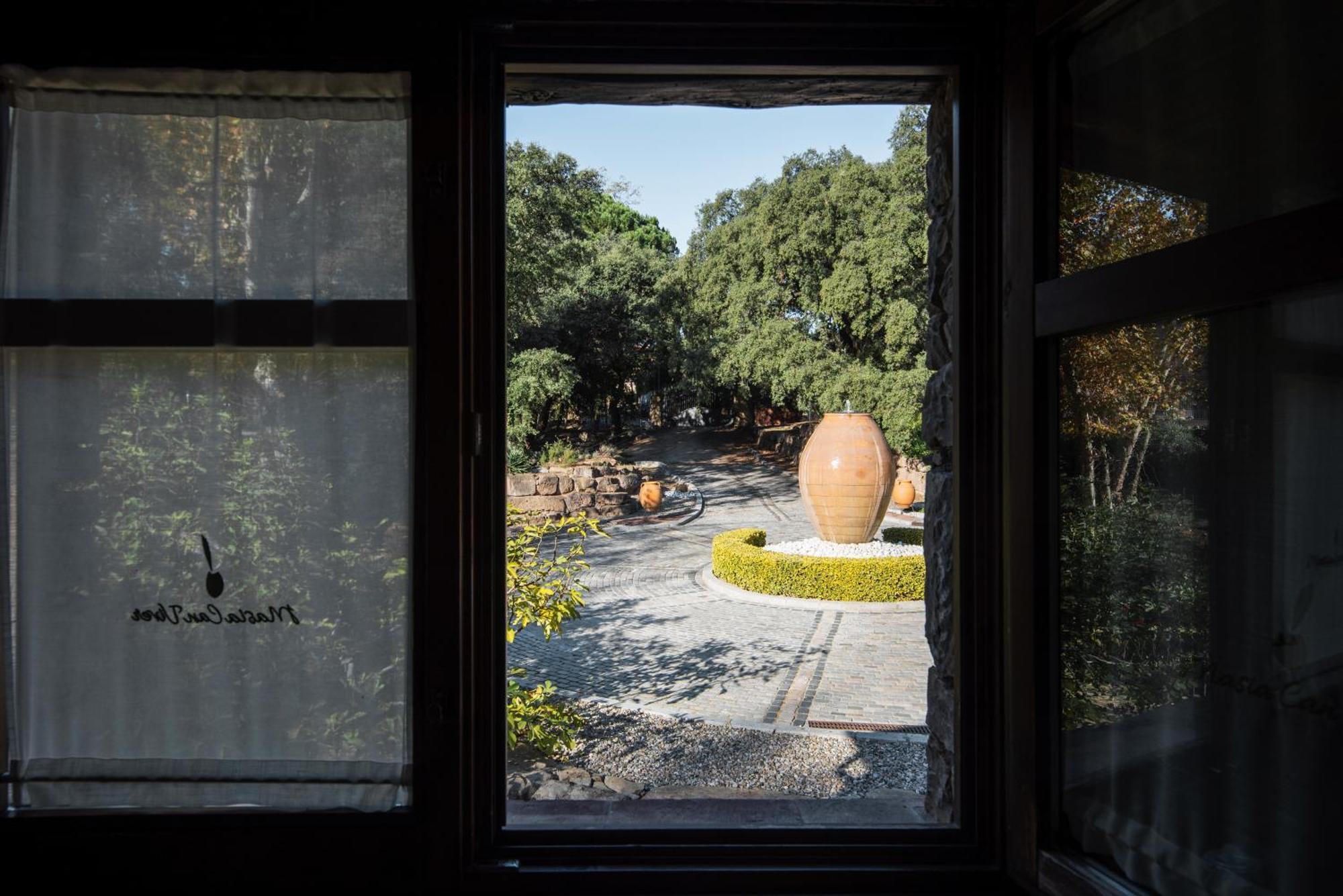 Masia Can Viver - Olive Oil Tourism B&B Бигес-и-Риельс Номер фото